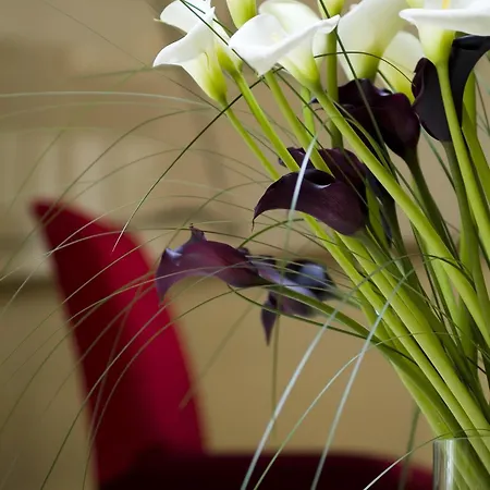 Restaurant Napoleon Hotel