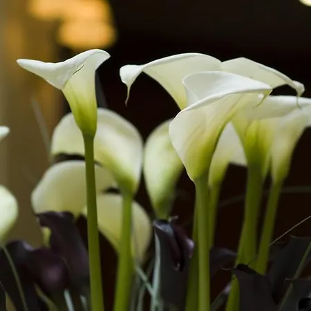 Restaurant Napoleon Hotel Fontainebleau