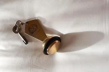 Restaurant Napoleon 3*