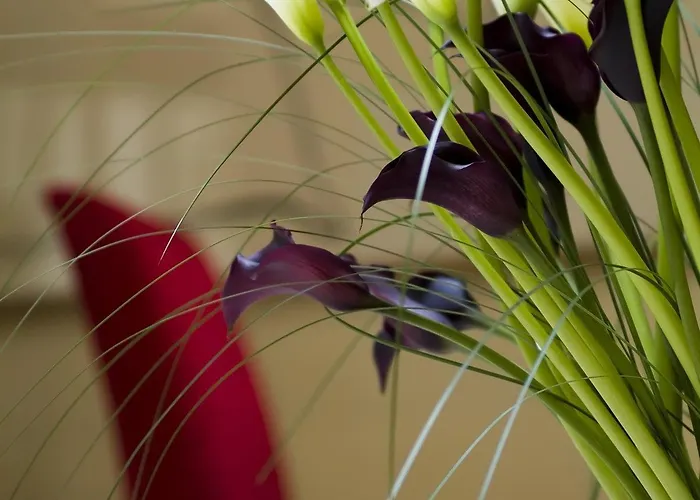 Restaurant Napoleon 호텔