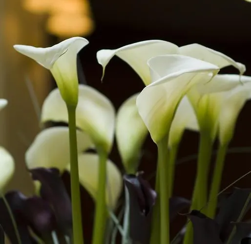 Restaurant Napoleon 호텔 퐁텐블로